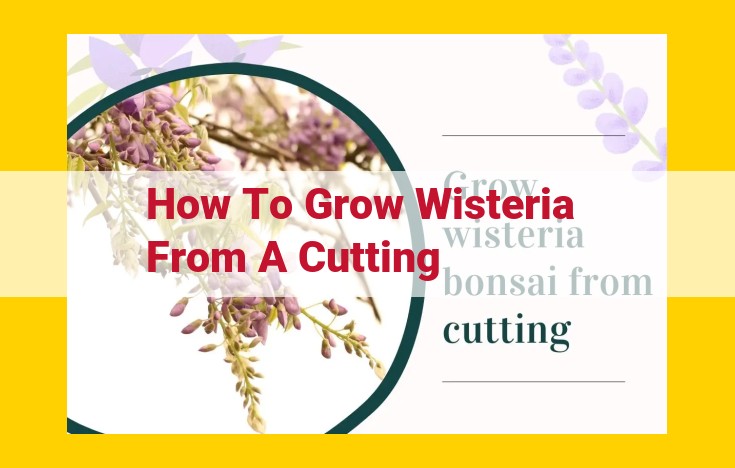 Propagating Wisteria: A Comprehensive Guide for Successful Growth