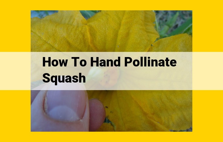 How to Hand Pollinate Squash: A Step-by-Step Guide for Enhanced Yield