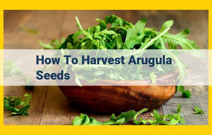 Ultimate Guide to Harvesting and Storing Arugula Seeds: A Step-by-Step Guide to Seed Preservation