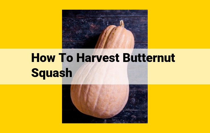 Comprehensive Guide to Harvesting and Storing Butternut Squash: Maximize Yield and Preserve Quality