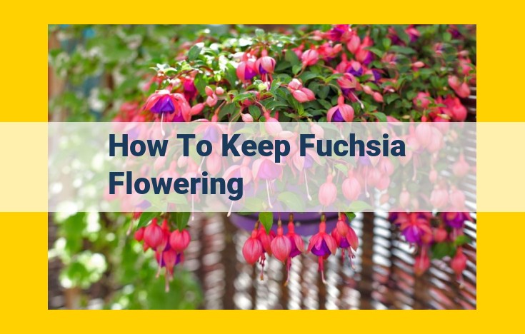 Complete Fuchsia Care Guide: Ensure Abundant Blooms and Healthy Growth