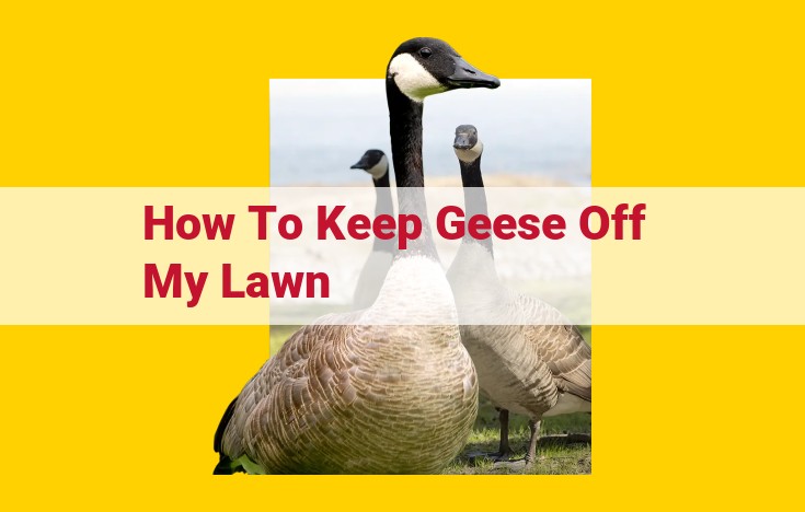 Effective Goose Deterrents for Protecting Your Lawn