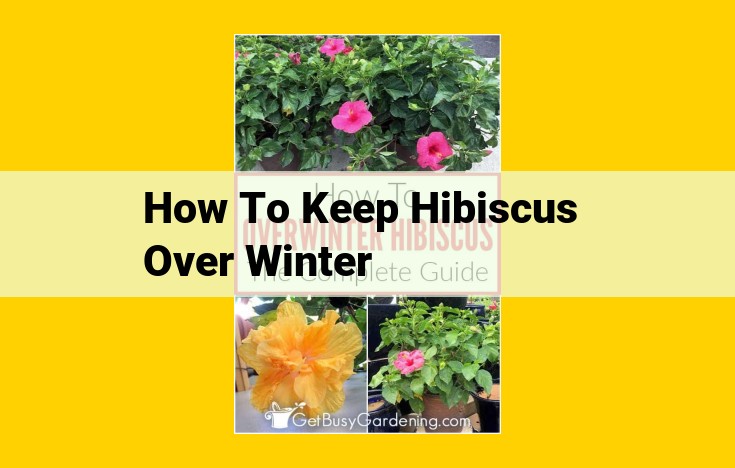 Winterizing Hibiscus: Essential Steps and Tools for Successful Overwintering