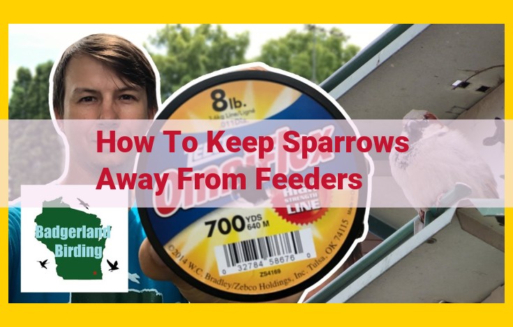 Comprehensive Guide to Keep Sparrows Away from Bird Feeders: Effective Solutions