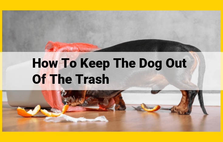 Keep Fido's Nose Out of Your Trash: Expert-Approved Prevention Tips