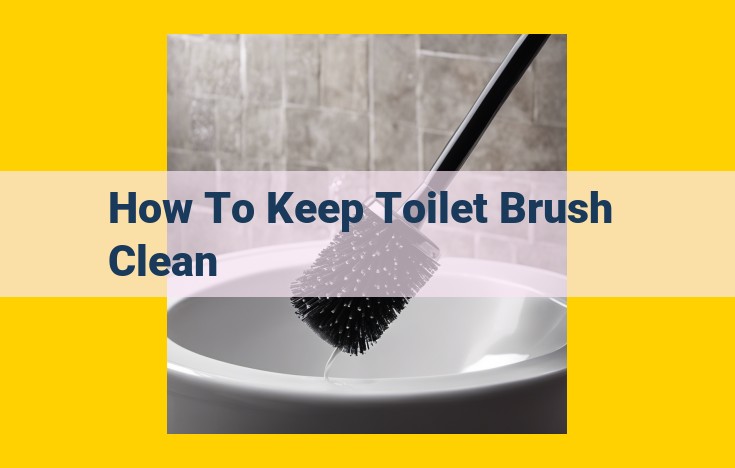 Ultimate Guide to Toilet Brush Hygiene: Prevent Germs, Infections, and Odor