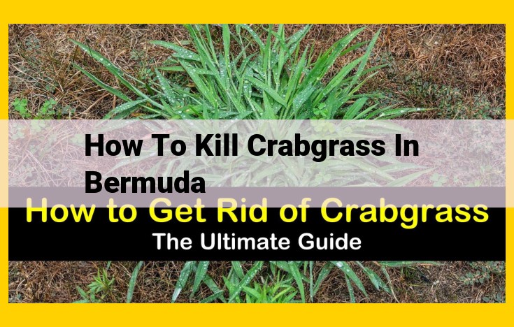 How to Eradicate Crabgrass in Bermuda Lawns: A Comprehensive Guide