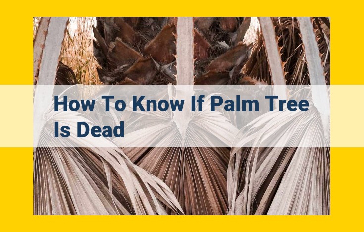 How to Identify a Dead Palm Tree: A Comprehensive Guide for Homeowners