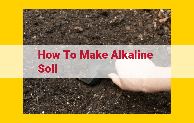 How to Amend Soil for Alkaline Conditions: Expert Guide