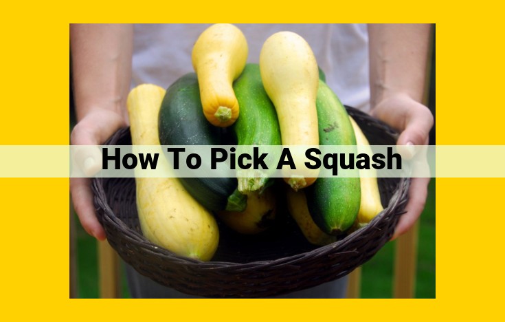 Ultimate Guide: Selecting Perfect Squash for Optimal Health and Taste