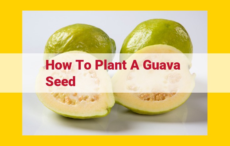 A Comprehensive Guide to Growing Guava Trees from Seed: Essential Materials, Growing Process, Environmental Requirements, and Care Considerations