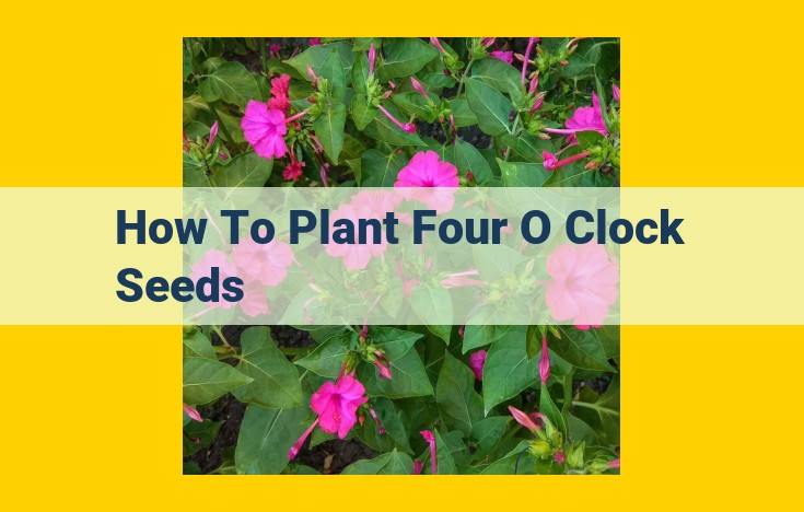 Pro Guide: Planting Four O'Clock Seeds for a Stunning Garden Display