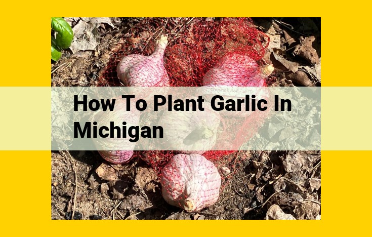 Expert Guide: Plant Garlic in Fall for Bountiful Spring Harvest