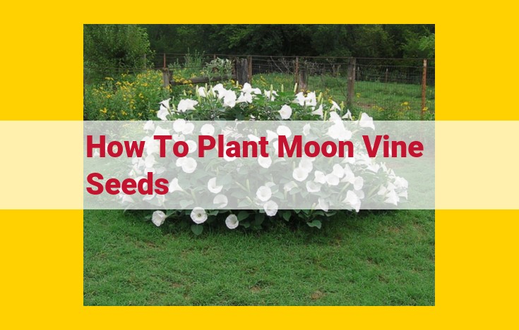 Moon Vine Growing Guide: Sowing, Transplanting, and Care for Optimal Growth