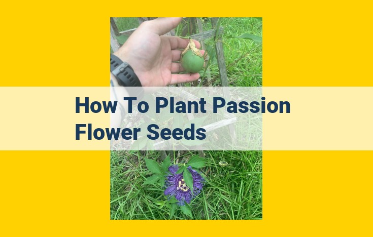 Comprehensive Guide to Growing Passion Flowers from Seeds