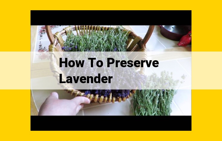 Maximize Lavender Preservation: A Comprehensive Guide to Harvesting, Drying, and Utilization