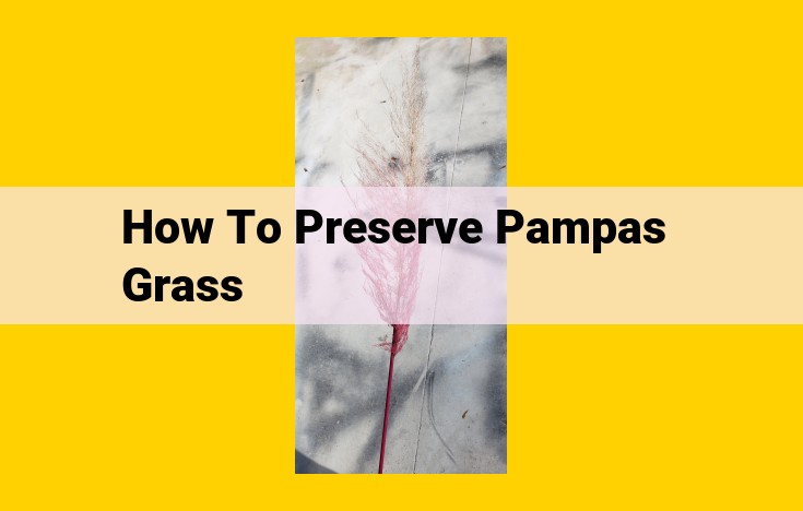 Ultimate Guide to Pampas Grass Preservation for Long-Lasting Decor