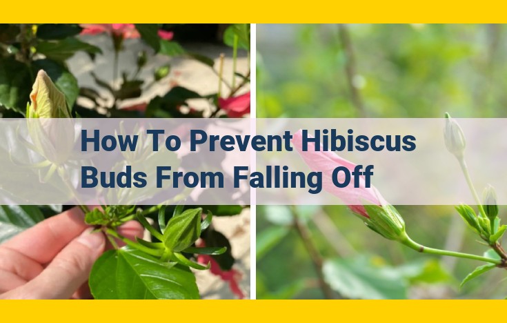 How to Prevent Hibiscus Buds from Falling Off: Expert Guide for Optimal Blooms