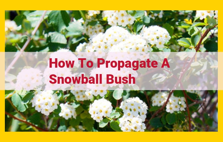 Softwood Cutting Propagation for Snowball Bushes: Step-by-Step Guide