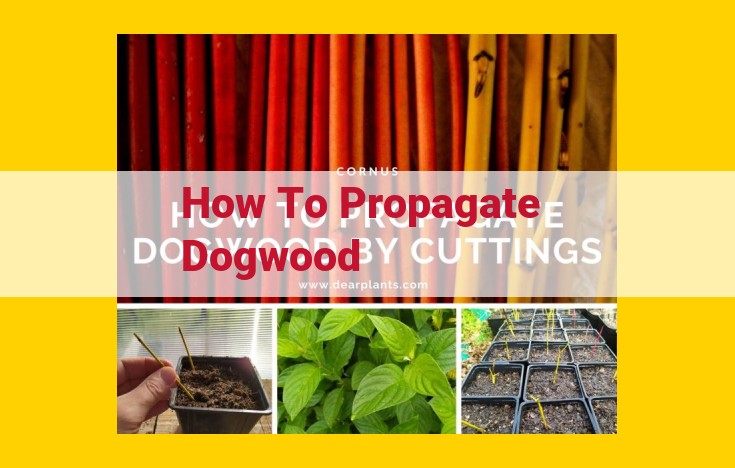 Comprehensive Guide: Dogwood Tree Propagation Techniques for Landscapers and Gardeners