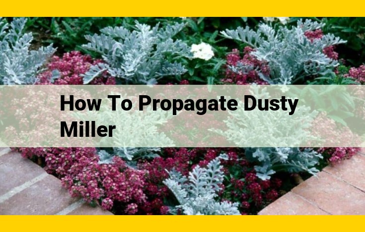 Essential Guide to Propagating Dusty Miller: Methods, Troubleshooting, and Landscaping Uses