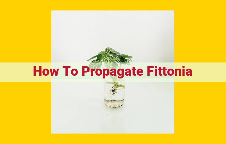 How to Propagate Fittonia: A Step-by-Step Guide to Successful Propagation