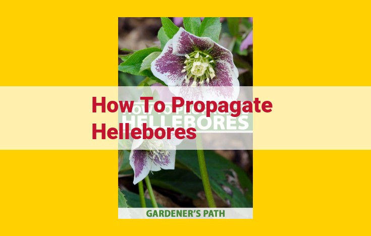 Hellebore Propagation Techniques: Seeds, Division, and Culture Methods