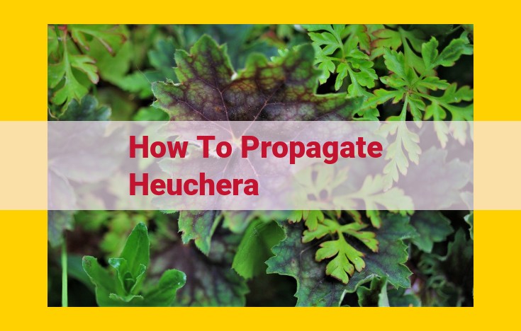 Heuchera Propagation: A Comprehensive Guide to Division, Tissue Culture, and Seed Methods