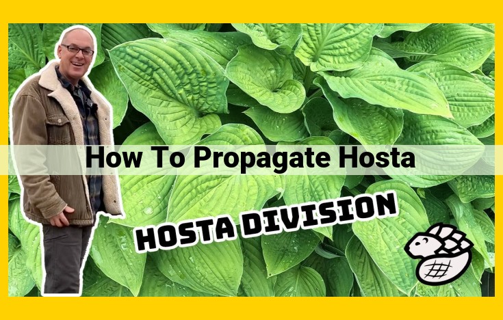 Comprehensive Guide to Propagating Hostas: Crown Division, Cuttings, and Culture