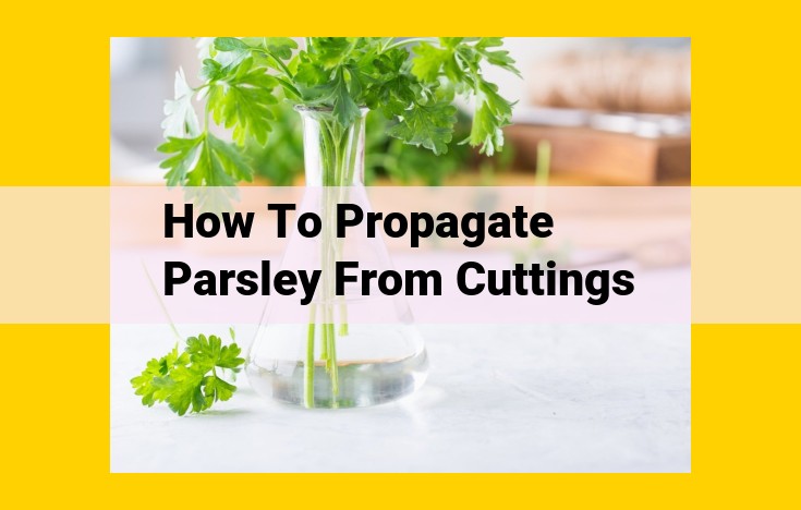 Step-by-Step Guide to Propagating Healthy Parsley Plants Through Stem Cuttings