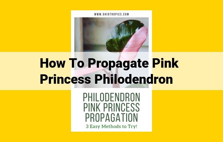 Propagate Pink Princess Philodendron: Ultimate Guide for Stem Cuttings and Air Layering