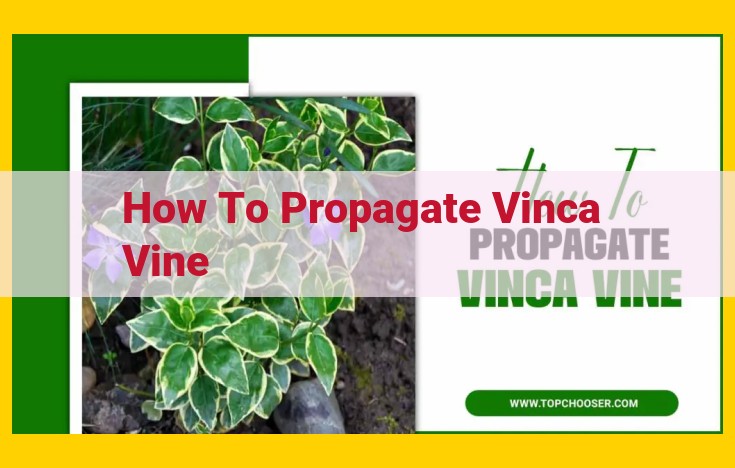 Comprehensive Guide to Propagating Vinca Vines: Stem Cuttings, Layering, and Seed Sowing