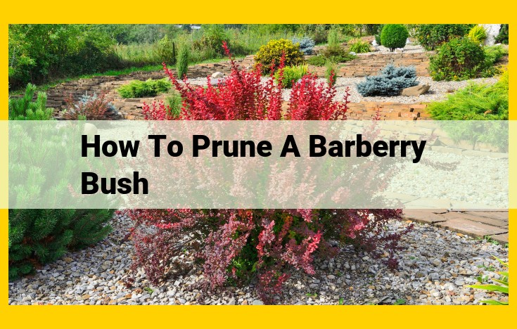 Comprehensive Guide to Pruning Barberry Bushes: Safety, Timing, and Techniques