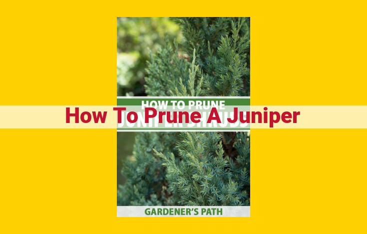 Ultimate Juniper Pruning Guide: Techniques, Tools, and Step-by-Step Instructions