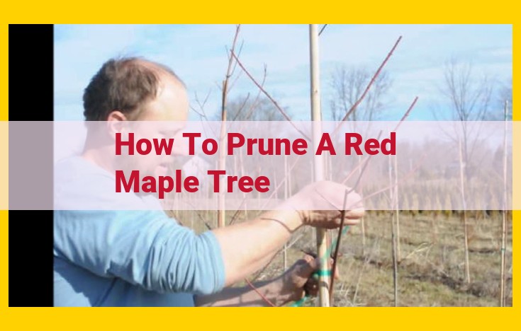 Expert Tree Pruning: Essential Tools, Techniques, and Considerations for Optimal Tree Health