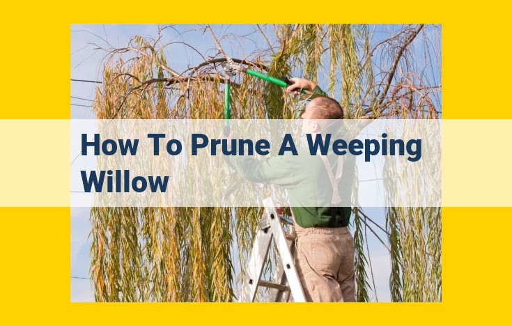 Expert Guide to Pruning Weeping Willows for Optimal Health and Aesthetics