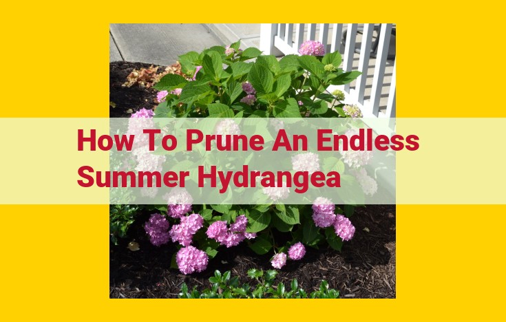 The Ultimate Guide to Pruning Endless Summer Hydrangeas: Enhance Growth and Blooms