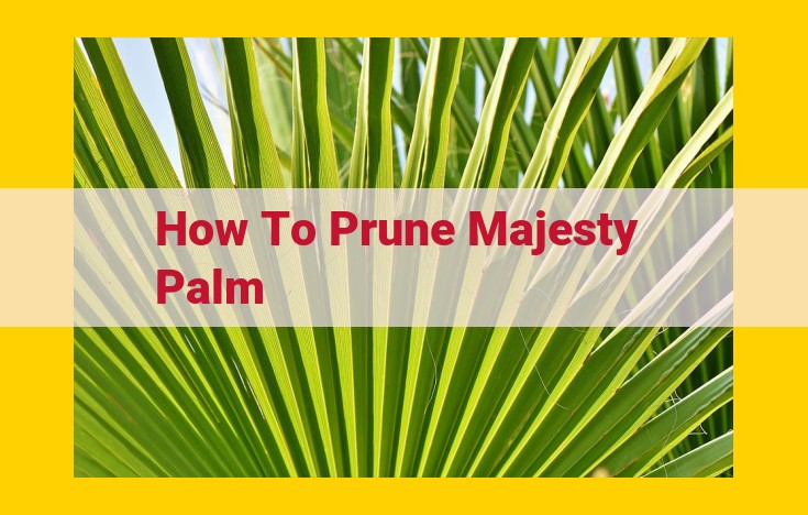 Expert Guide to Pruning Majesty Palms: Remove Dead Fronds, Enhance Health, and Prevent Fires