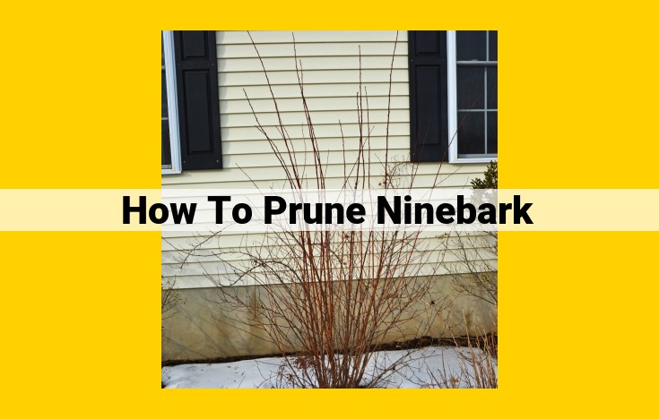 Expert Guide to Pruning Ninebark: Enhance Growth, Shape, and Flowering