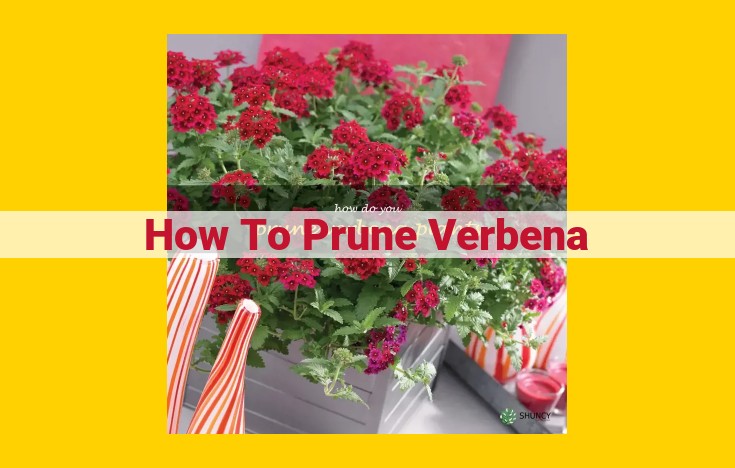 Ultimate Guide to Pruning Verbena for Enhanced Growth and Bloom