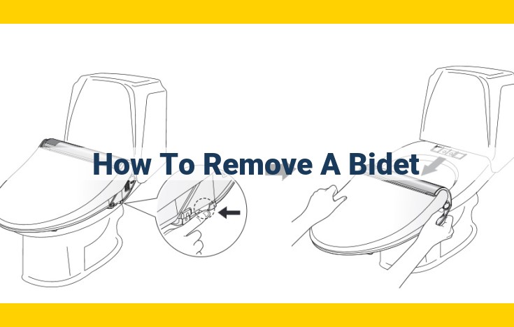 Comprehensive Guide to Effortlessly Remove Different Types of Bidets