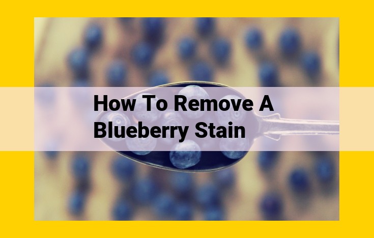 Ultimate Guide to Removing Blueberry Stains from Any Fabric