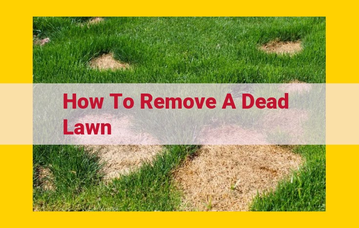 How to Effortlessly Remove a Dead Lawn in 5 Simple Steps