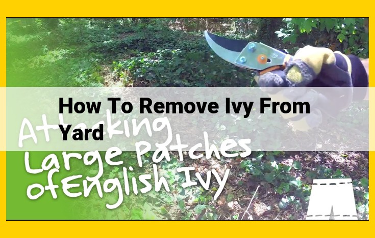 Ultimate Guide to Ivy Removal: Comprehensive Strategy for Your Yard