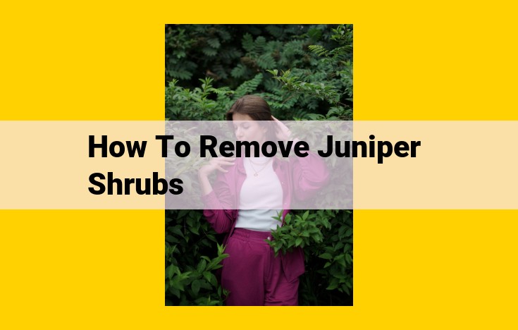 Comprehensive Guide to Juniper Shrub Removal: Techniques, Seasonality, and Safety