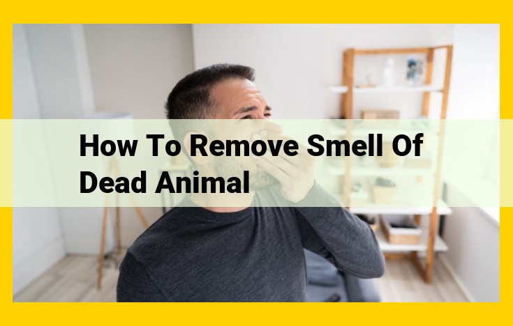 | Top-Rated Guide to Removing the Foul Odor of Dead Animals |