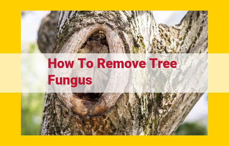 Comprehensive Guide to Identifying and Removing Tree Fungus: Expert Techniques and Prevention Strategies