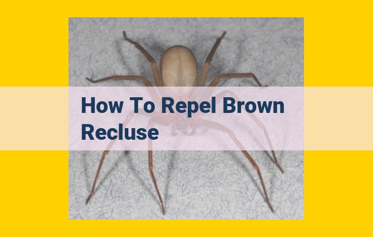 Brown Recluse Prevention: Protect Your Home from Invaders