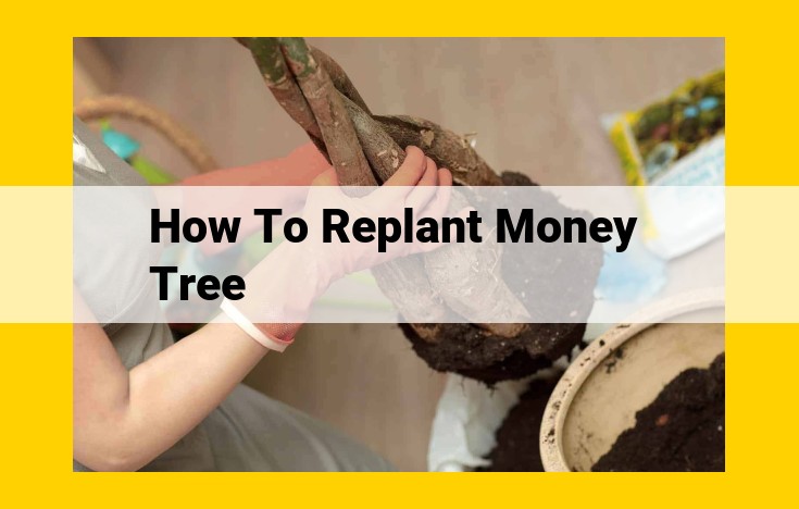 Comprehensive Guide to Repotting a Money Tree for Optimal Growth and Prosperity