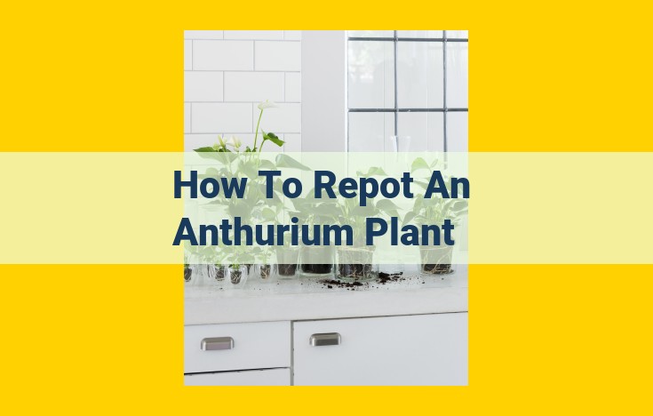 Complete Guide to Anthurium Repotting: Expert Tips for Thriving Plants